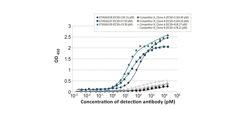 Influenza A Virus Nucleoprotein antibody [HL1089] (GTX636247)