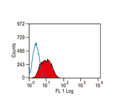TIM-3 antibody(GTX54055)