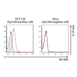EpCAM antibody [HL1339]