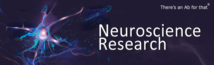 Neuroscience