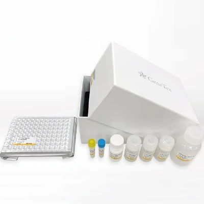 SARS-CoV-2 (COVID-19) Spike RBD Protein Sandwich ELISA Kit