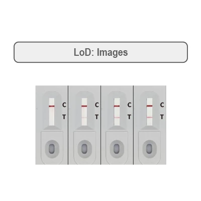Lateral Flow Assay (LFA) Development Service 001
