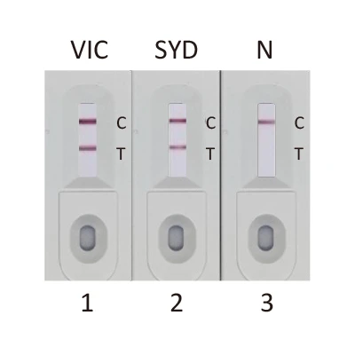Influenza B Virus (FluB)