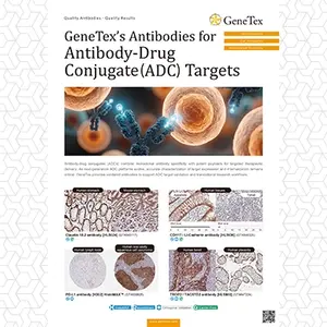 GeneTex's Antibodies for Antibody-Drug Conjujgate(ADC) Targets