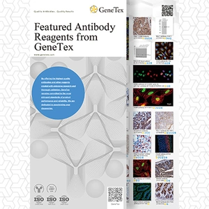 Featured Antibody Reagents from GeneTex