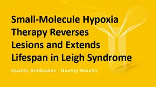 Small-Molecule Hypoxia Therapy Reverses Lesions and Extends Lifespan in Leigh Syndrome