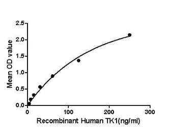 Human Thymidine Kinase 1 protein, His and GST tag. GTX00185-pro