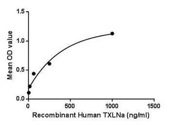 Human alpha Taxilin protein, His tag. GTX00218-pro