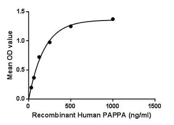 Human PAPP A protein, His tag. GTX00254-pro