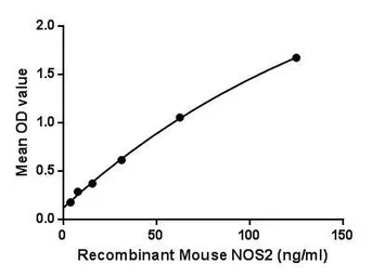Mouse iNOS protein, His tag. GTX00325-pro