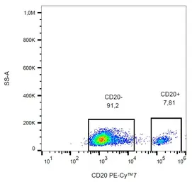 Anti-CD20 antibody [2H7] (PE-Cy7) used in Flow cytometry (FCM). GTX00466-10