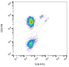 Anti-TCR gamma + delta antibody [B1] (FITC) used in Flow cytometry (FCM). GTX00507-06