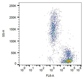 Anti-ICAM2 antibody [CBR-IC2/2] used in Flow cytometry (FCM). GTX00540