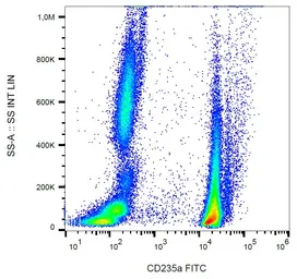 Anti-Glycophorin A antibody [JC159] (FITC) used in Flow cytometry (FCM). GTX00583-06
