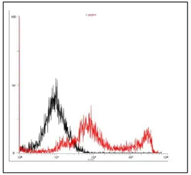 Anti-Herpes virus 6 gQ1 antibody [119] used in Flow cytometry (FCM). GTX00685