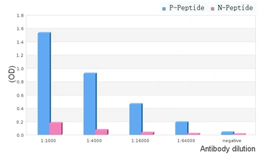 Anti-TIE2 (phospho Tyr992) antibody used in ELISA (ELISA). GTX00794