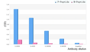 Anti-ATF2 (phospho Thr69) antibody used in ELISA (ELISA). GTX00805