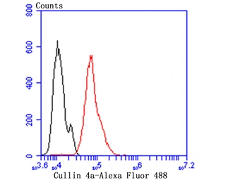 Anti-Cullin 4a antibody [JU07-33] used in Flow cytometry (FCM). GTX01050