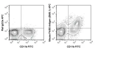 Anti-F4/80 antibody [BM8.1] (APC) used in Flow cytometry (FCM). GTX01470-07