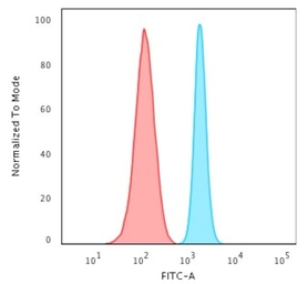 Anti-SPTBN2 antibody [SPTBN2/2887R] used in Flow cytometry (FCM). GTX02717