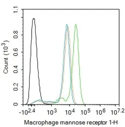 Anti-Mannose Receptor antibody used in Flow cytometry (FCM). GTX03378