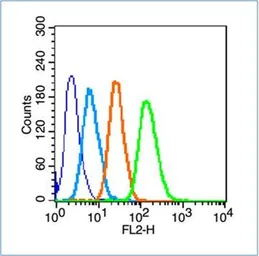 Anti-Mannose Receptor antibody used in Flow cytometry (FCM). GTX03378