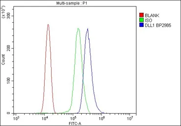 Anti-DLL1 antibody used in Flow cytometry (FCM). GTX03469
