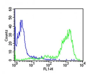 Anti-CD44 antibody [Hermes-3] used in Flow cytometry (FCM). GTX03492