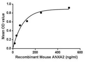 Mouse Annexin II protein, His and TrxA tag. GTX03782-pro