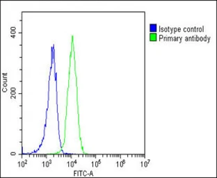 Anti-SCAP antibody used in Flow cytometry (FCM). GTX03796