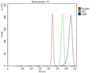 Anti-OMP antibody used in Flow cytometry (FCM). GTX04312