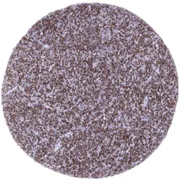 Anti-CD22 antibody [MSVA-022R] HistoMAX&trade; used in IHC (Paraffin sections) (IHC-P). GTX04393