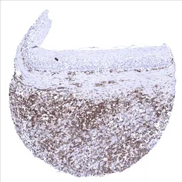 Anti-CD27 antibody [MSVA-027M] HistoMAX&trade; used in IHC (Paraffin sections) (IHC-P). GTX04394