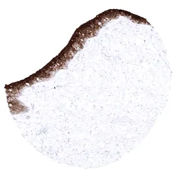 Anti-S100P antibody [MSVA-480R] HistoMAX&trade; used in IHC (Paraffin sections) (IHC-P). GTX04398