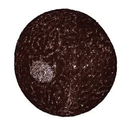 Anti-L-FABP antibody [MSVA-501M] HistoMAX&trade; used in IHC (Paraffin sections) (IHC-P). GTX04448
