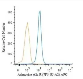 Anti-Adenosine A2a Receptor antibody [7F6-G5-A2] used in Flow cytometry (FCM). GTX04561