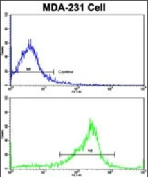 Anti-GCET1 antibody used in Flow cytometry (FCM). GTX04610
