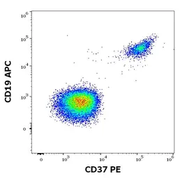 Anti-CD37 antibody [MB-1] (PE) used in Flow cytometry (FCM). GTX04698-08