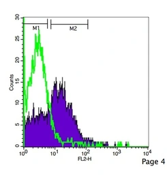 Anti-CD4 antibody used in Flow cytometry (FCM). GTX04861