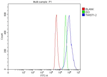 Anti-Twist1/2 antibody used in  (). GTX04942