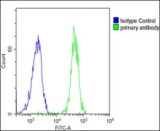Anti-SPNS2 antibody, N-term used in Flow cytometry (FCM). GTX04943