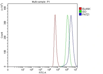 Anti-PATZ1 antibody used in Flow cytometry (FCM). GTX04950