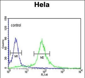 Anti-PI4 kinase beta antibody used in Flow cytometry (FCM). GTX05121
