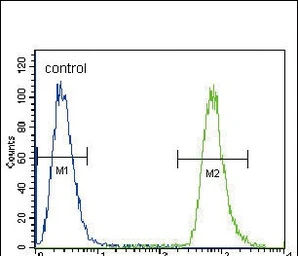 Anti-NEU2 antibody used in Flow cytometry (FCM). GTX05157