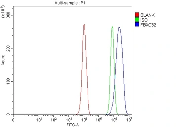 Anti-FBXO32 antibody used in Flow cytometry (FCM). GTX05209