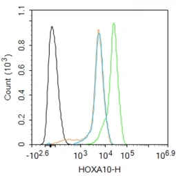Anti-HOXA10 antibody used in Flow cytometry (FCM). GTX05262