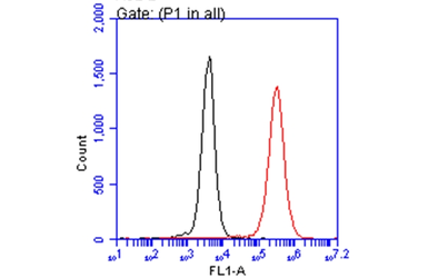 Anti-Iba1 antibody used in Flow cytometry (FCM). GTX100042