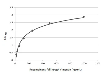 Anti-Vimentin antibody used in ELISA (ELISA). GTX100619