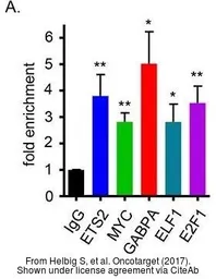 Anti-ETS2 antibody used in ChIP assay (ChIP assay). GTX104527