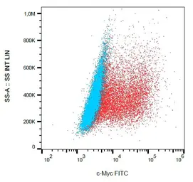 Anti-c-Myc antibody [9E10] (FITC) used in Flow cytometry (FCM). GTX10826